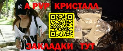 тгк Новодвинск