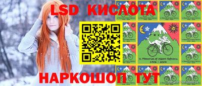 тгк Новодвинск