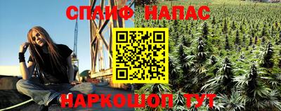 тгк Новодвинск